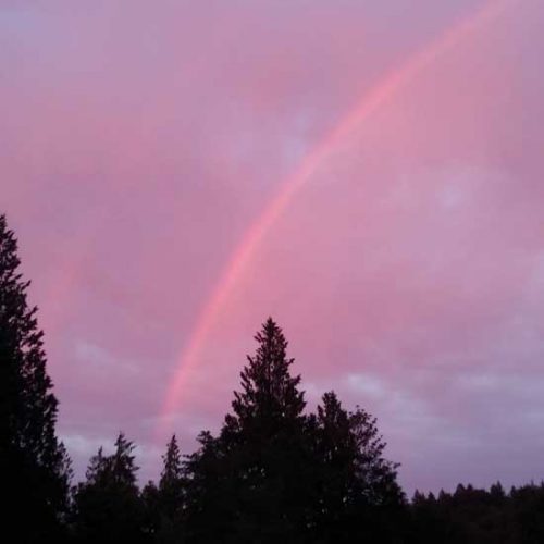 Moving to the Other Side of the Rainbow